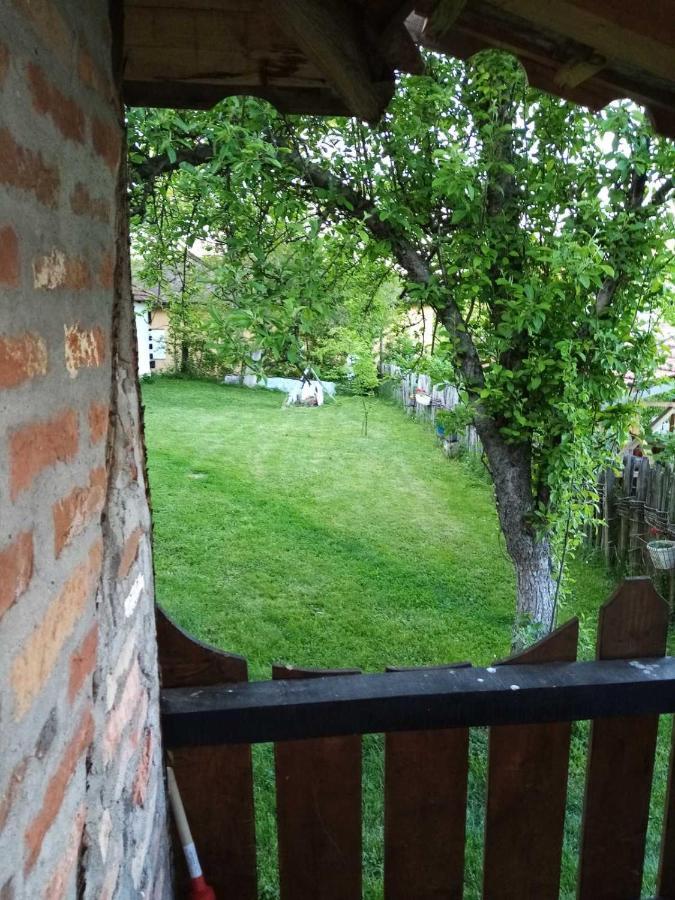 Apartment Morava 2
