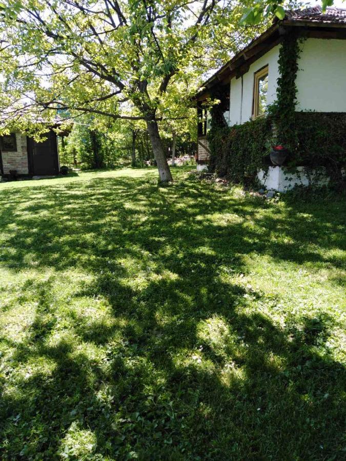 Apartment Morava 2 *