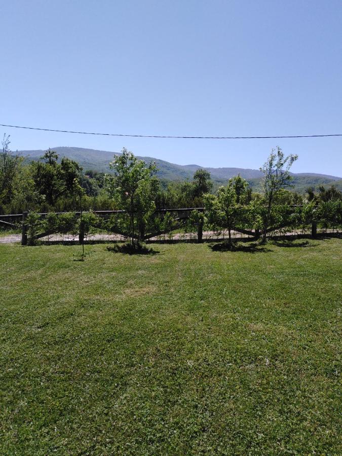 Apartment Morava 2 *