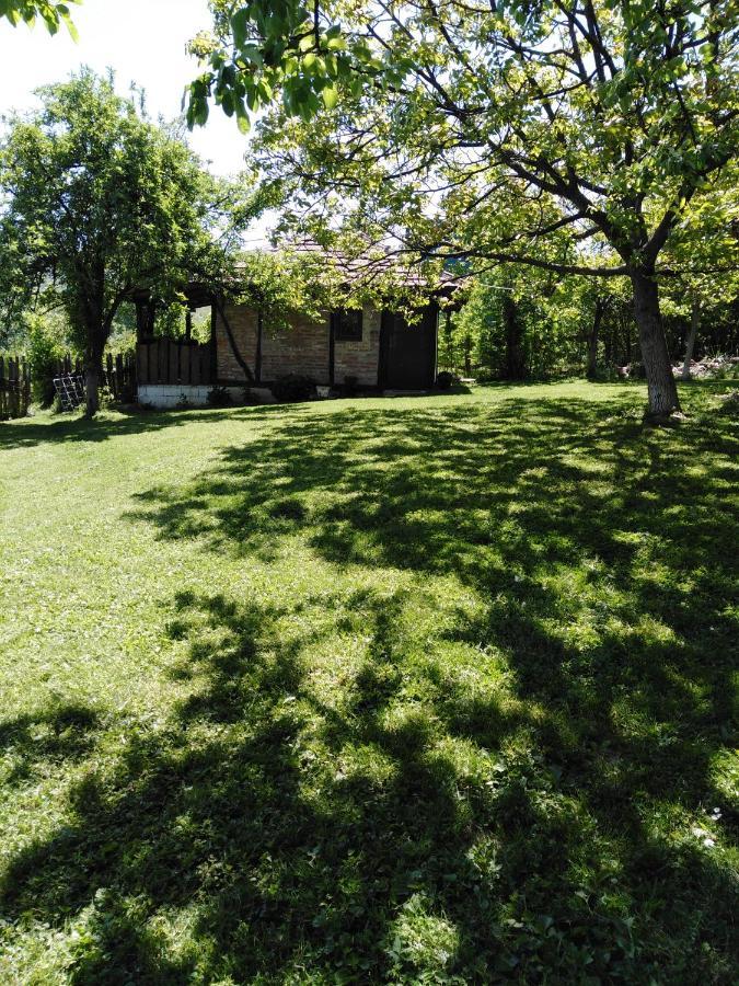Apartment Morava 2 *
