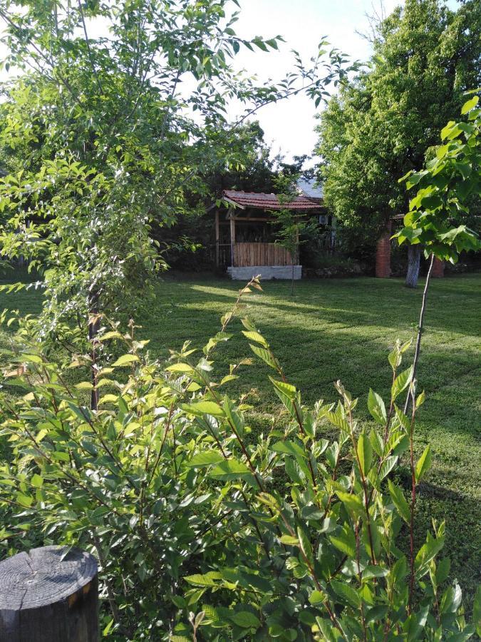 Apartment Morava 2 Vrnjacka Banja